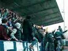 novara fans in pavia