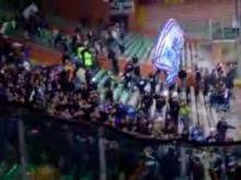 tifo viola a genova