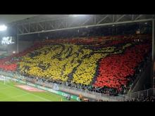 AS Saint-Étienne 3:0 Olympique Lyon 30.11.2014 Support